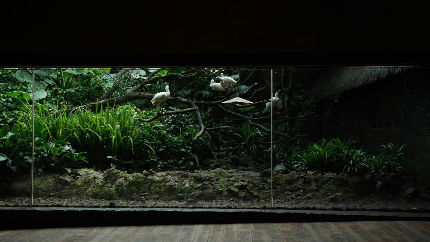 Rio Scenarium, image 1 of 1