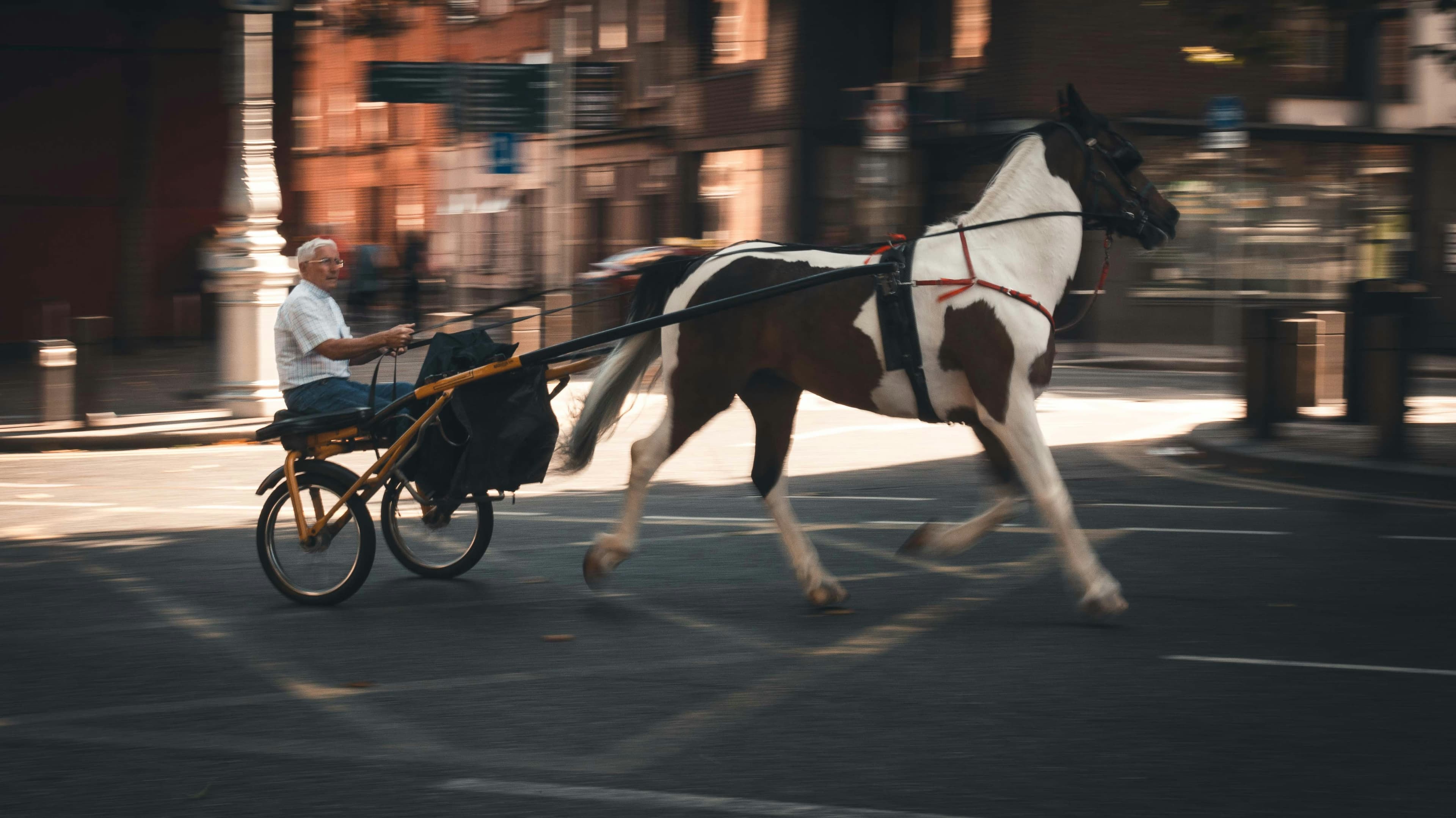 The Bleeding Horse, image 1 of 1
