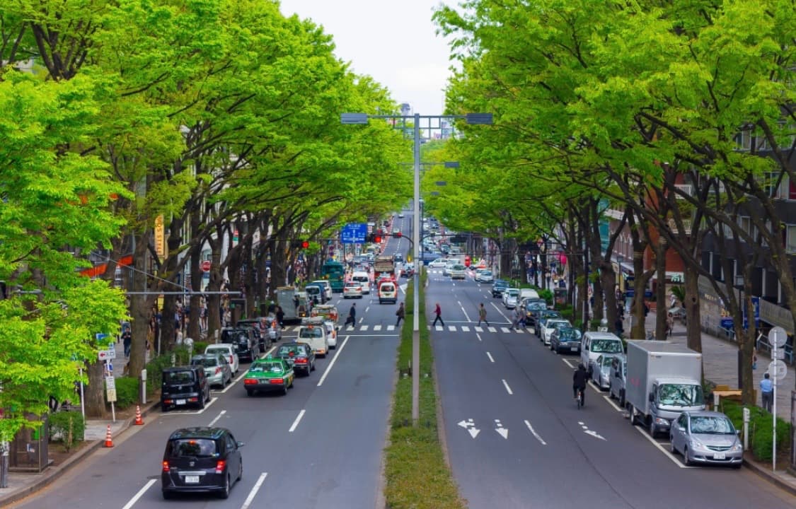 Omotesando, image 1 of 1