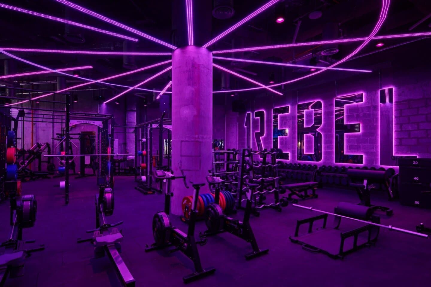1Rebel, image 1 of 1