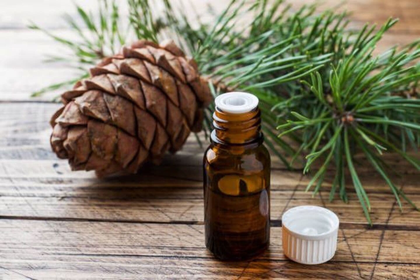 Cedarwood, image 1 of 1