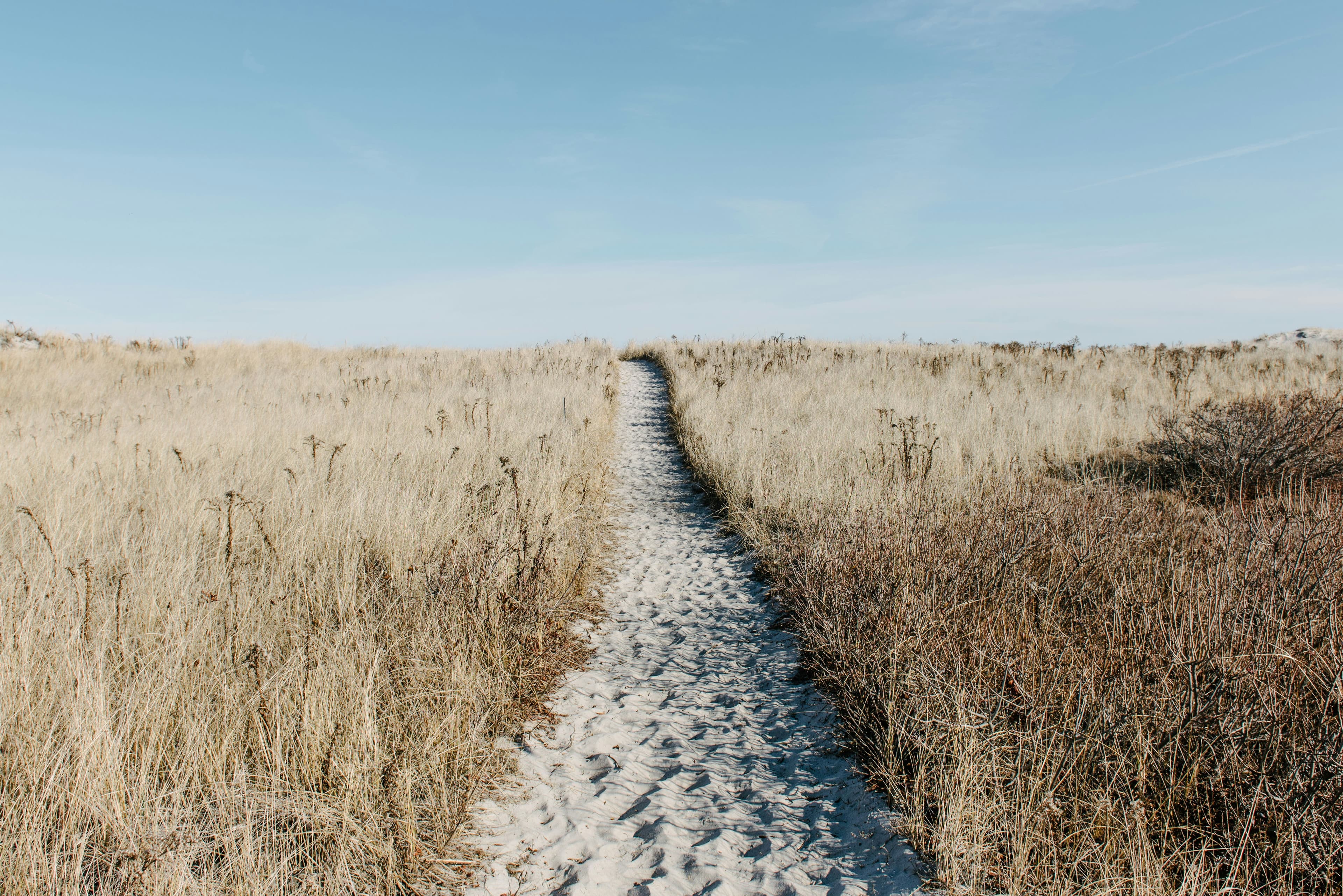 WEG, image 1 of 1