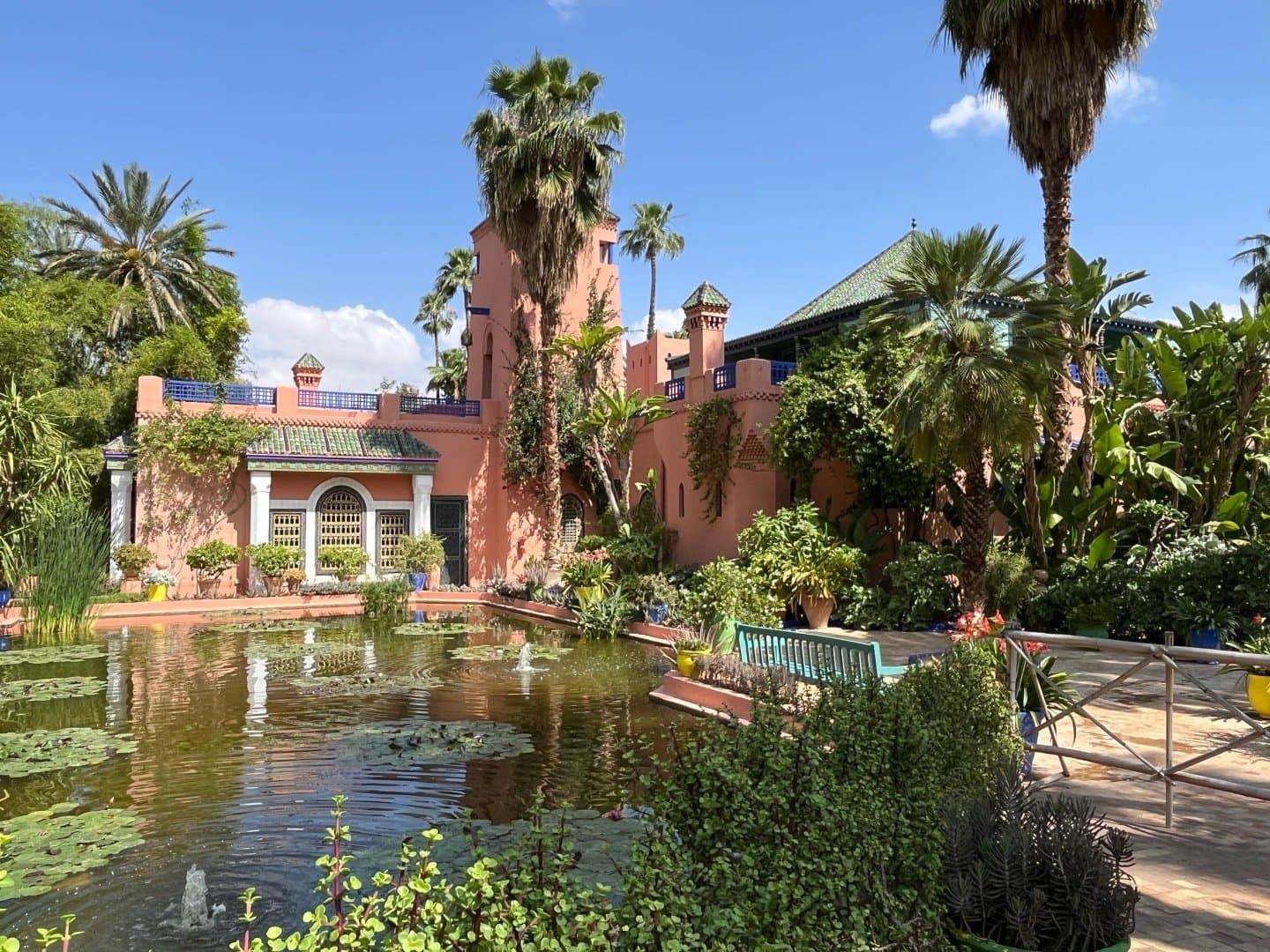 Jardin Majorelle e Museu Pierre Bergé, image 1 of 1