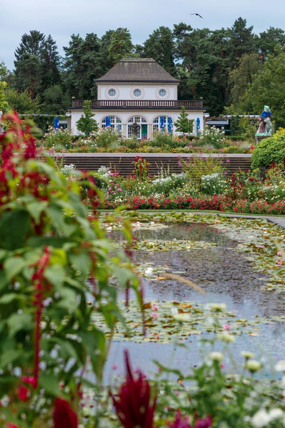 Botanischer Garten der Universität Bern, image 1 of 1