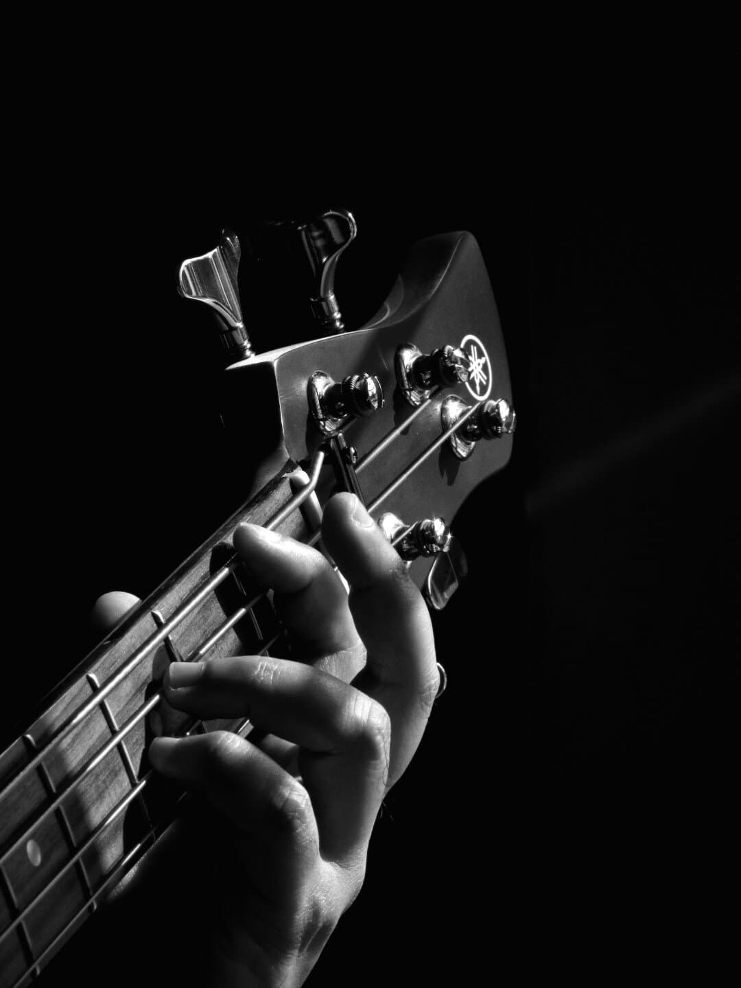 The Bass, image 1 of 1