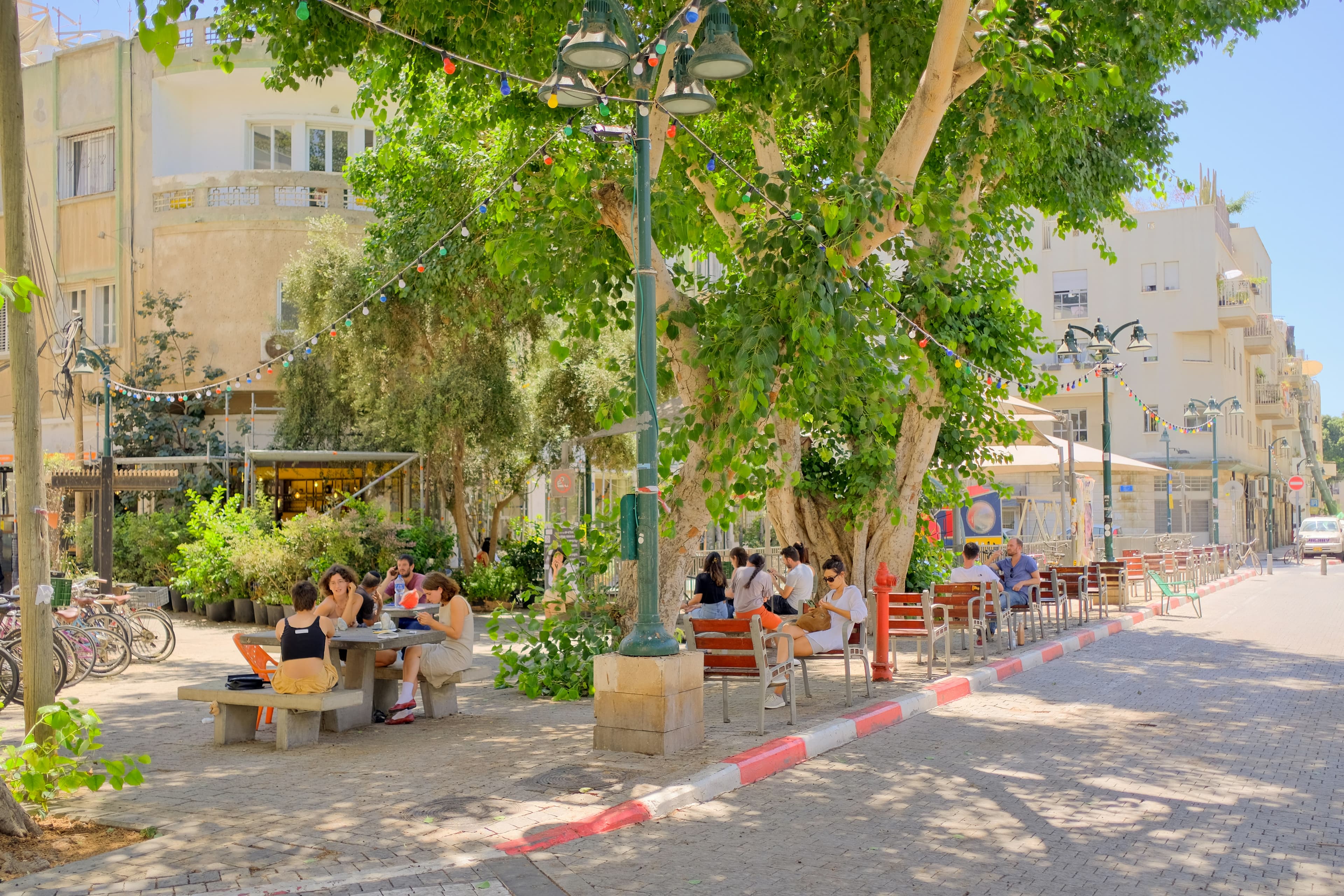 תולעת ספרים – כיכר רבין (Bookworm Rabin Square), image 1 of 1