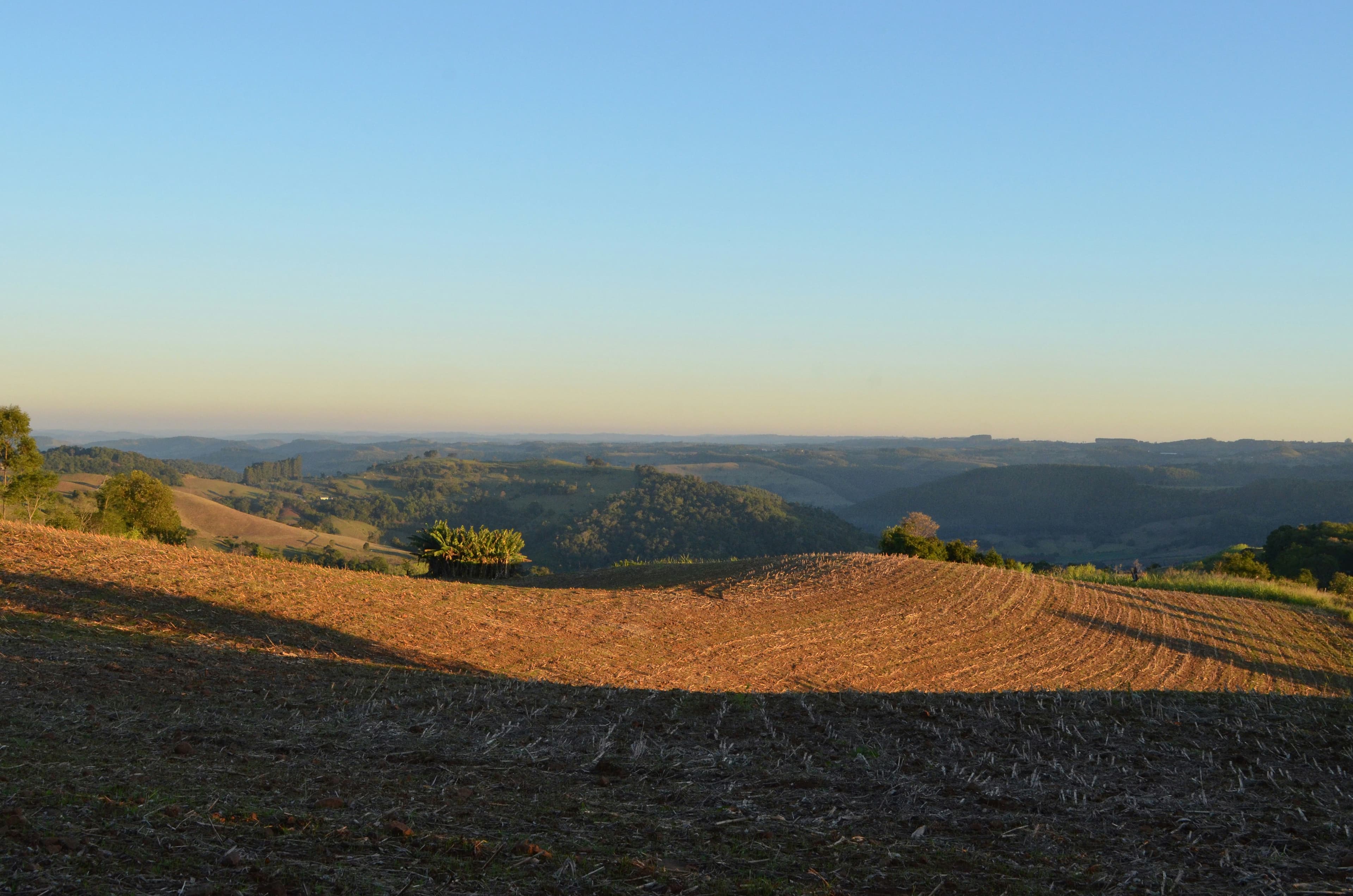 Bar Semente, image 1 of 1