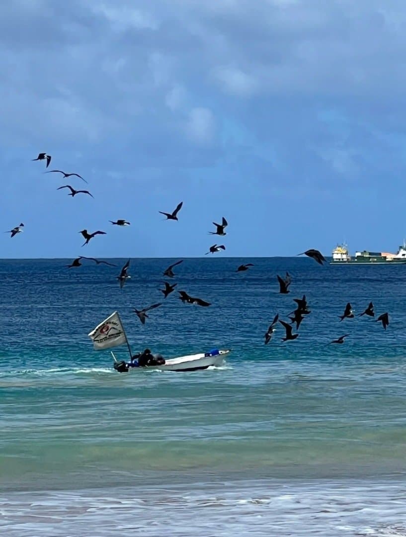 Praia da Conceição, image 1 of 1