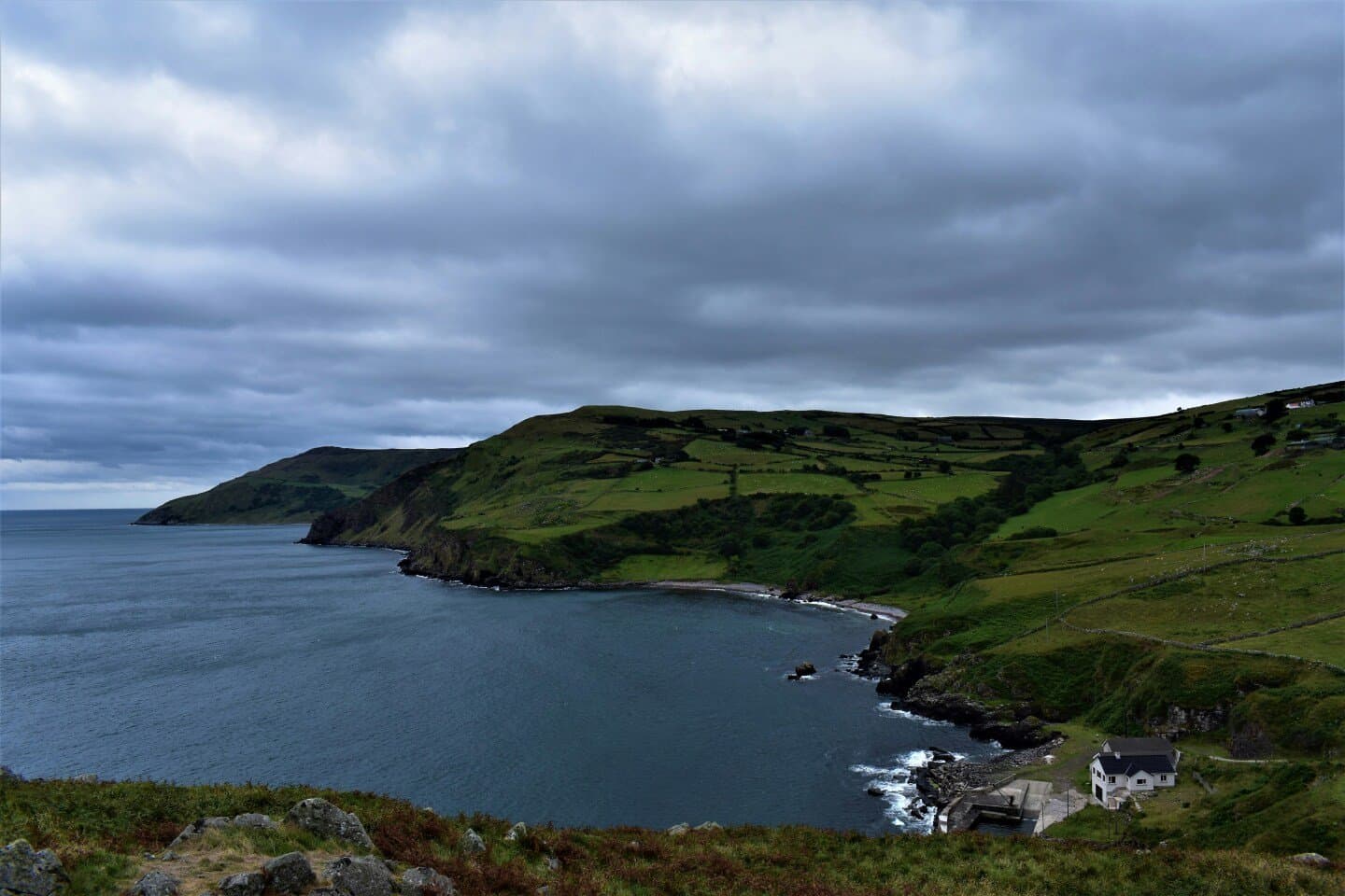 Scraggy Bay IPA, image 1 of 1
