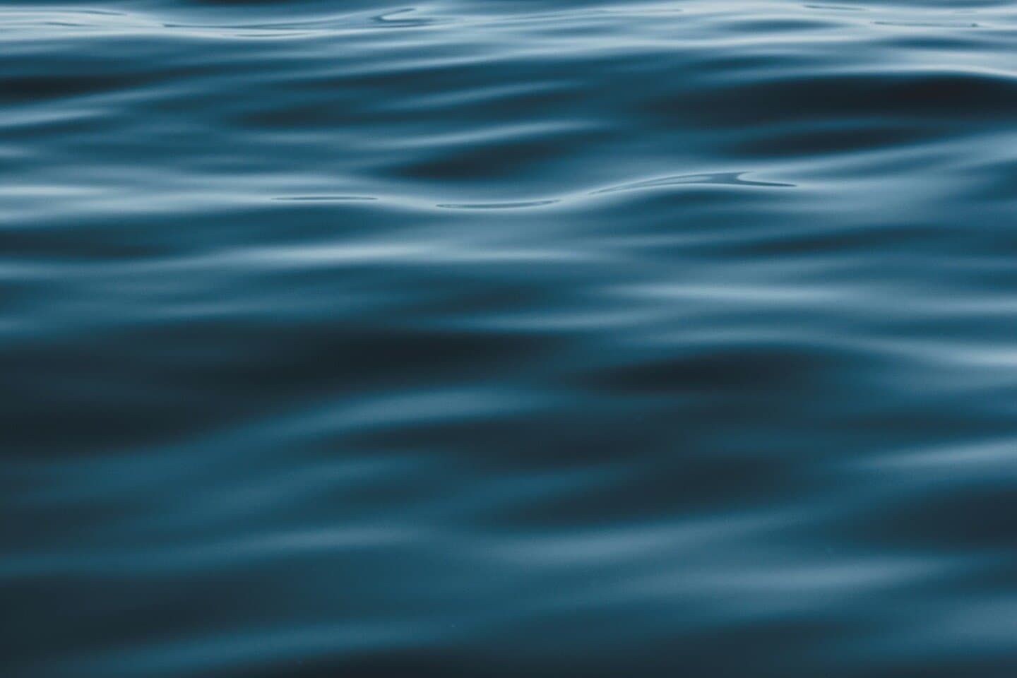 Acqua, image 1 of 1