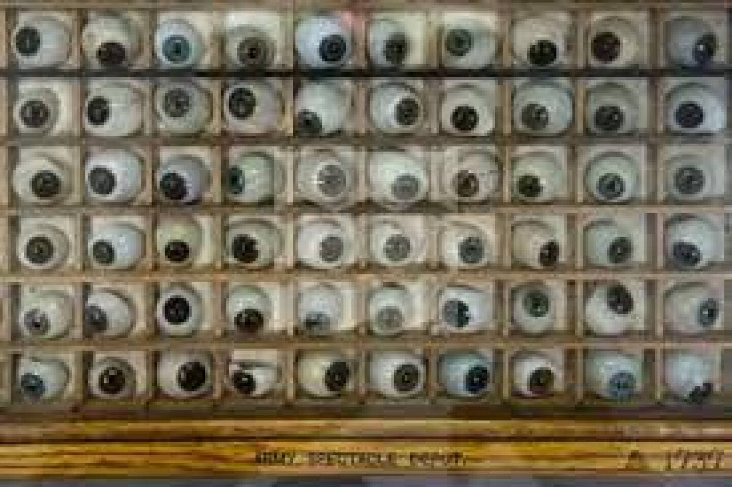 British Optical Association Museum, image 1 of 1