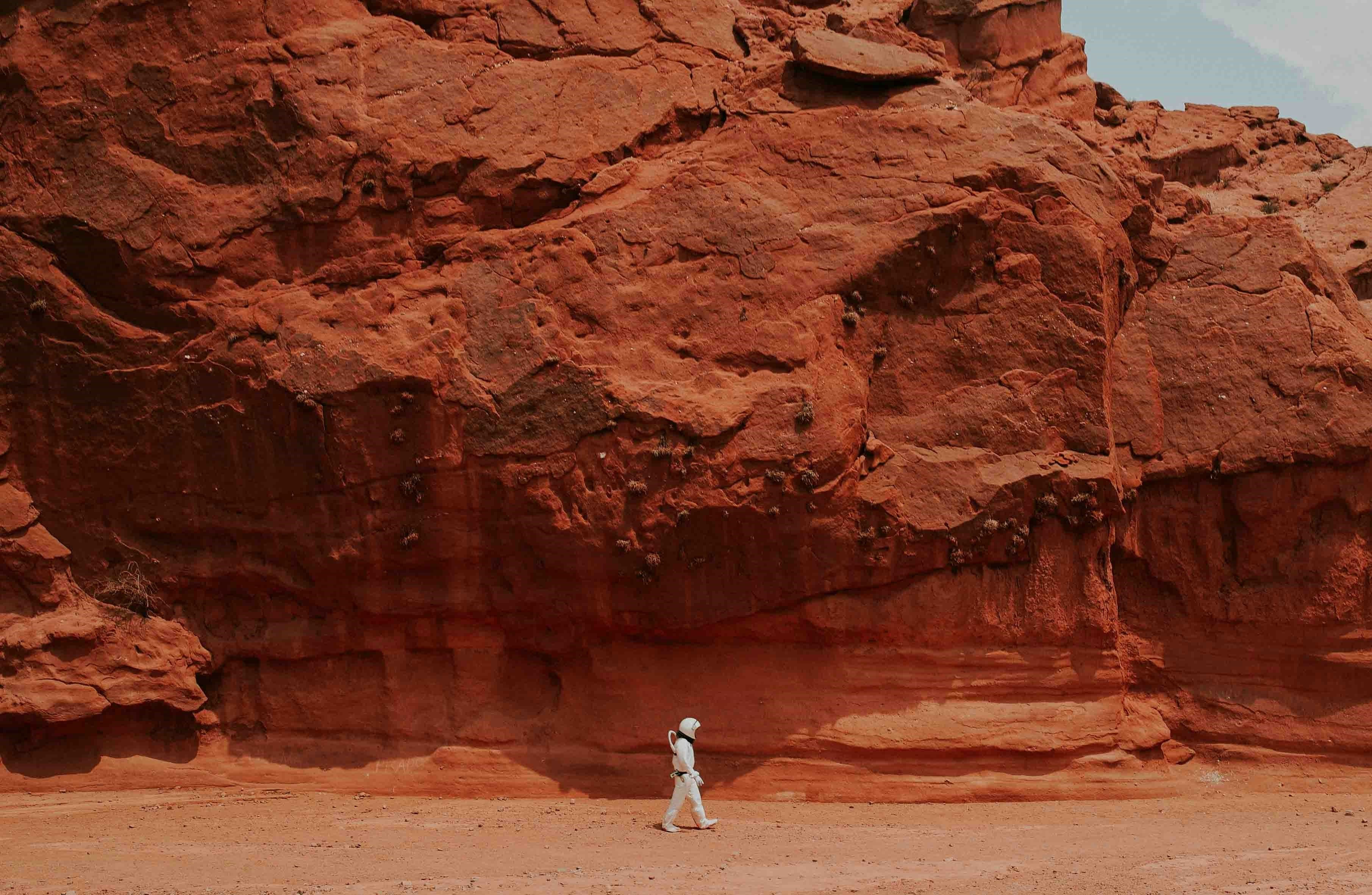 Life on Mars, image 1 of 1