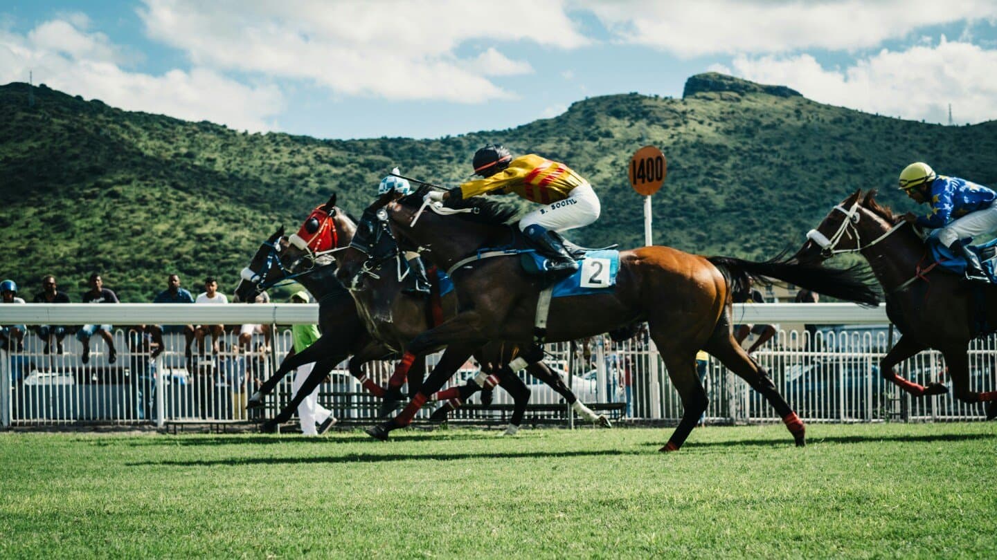 The Horse & Jockey, image 1 of 1