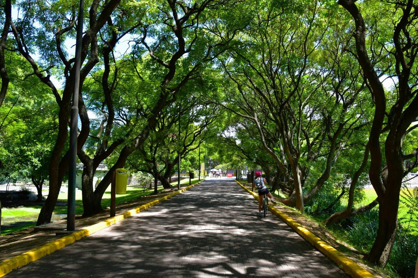 Parque Madureira Mestre Monarco, image 1 of 1