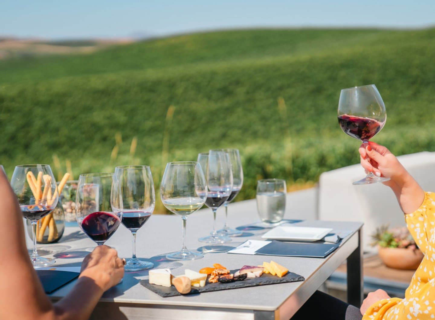 Wine Tasting at a Local Winery, image 1 of 1
