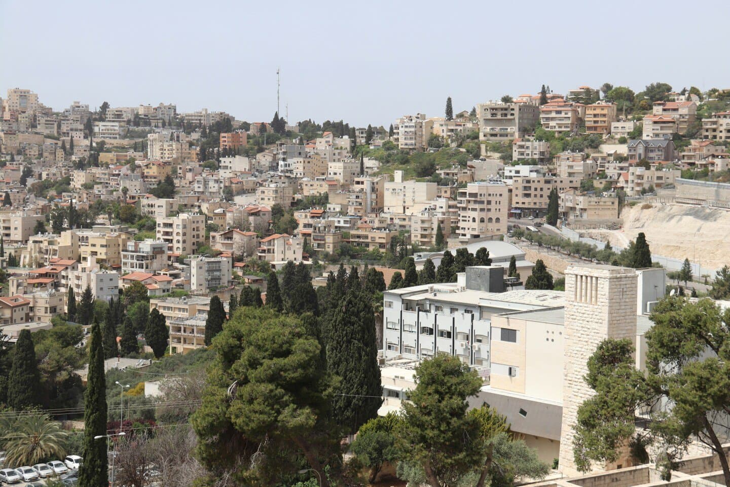 מולי בלומס, image 1 of 1