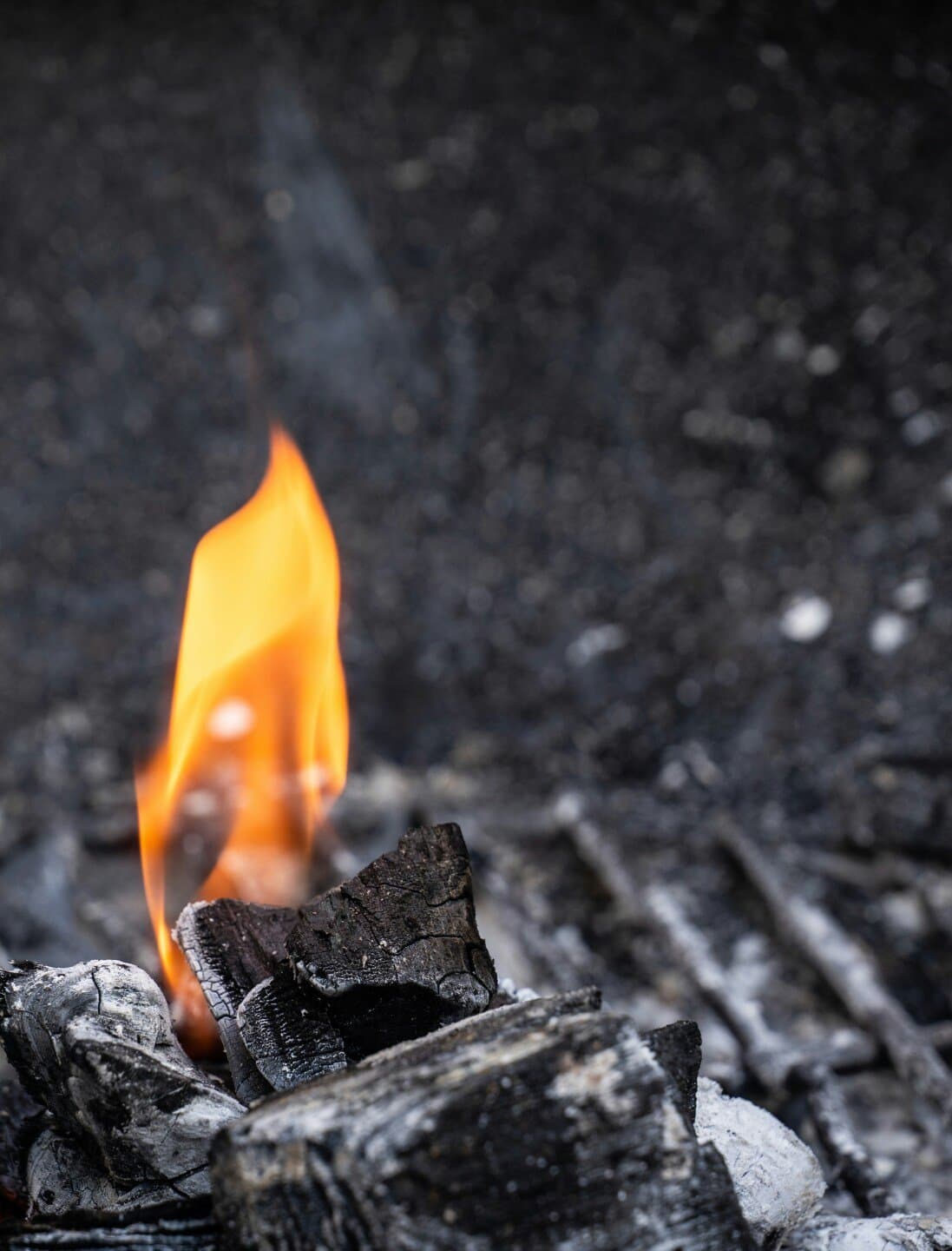 Mughli Charcoal Pit, image 1 of 1