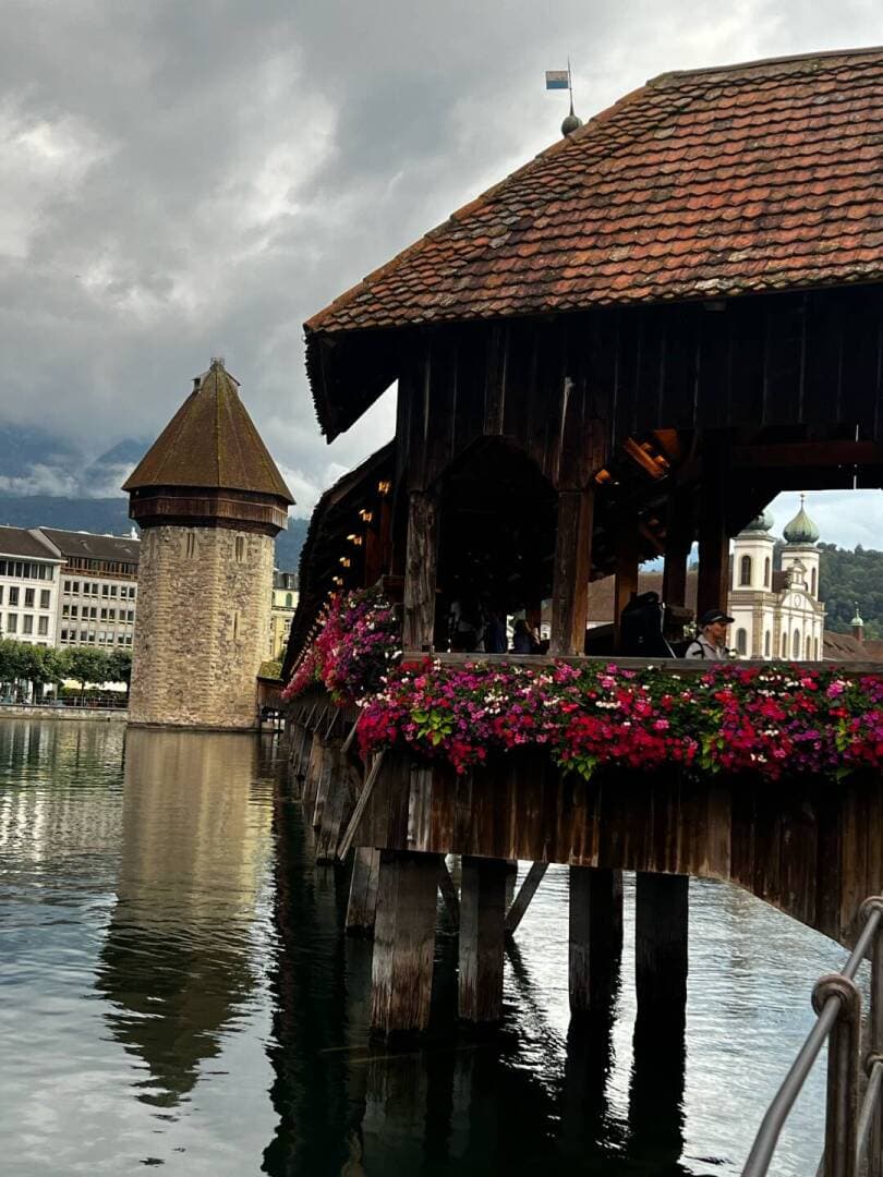 Lucerne, image 1 of 3