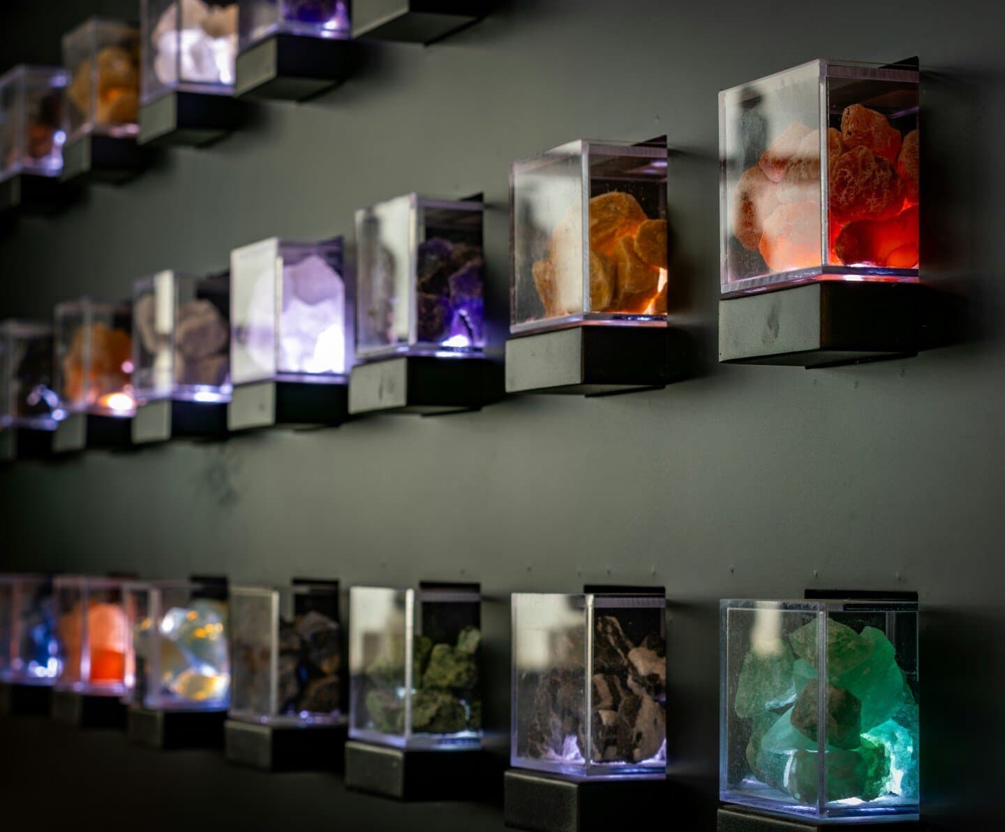 Medicine Galleries at the Science Museum, image 1 of 1
