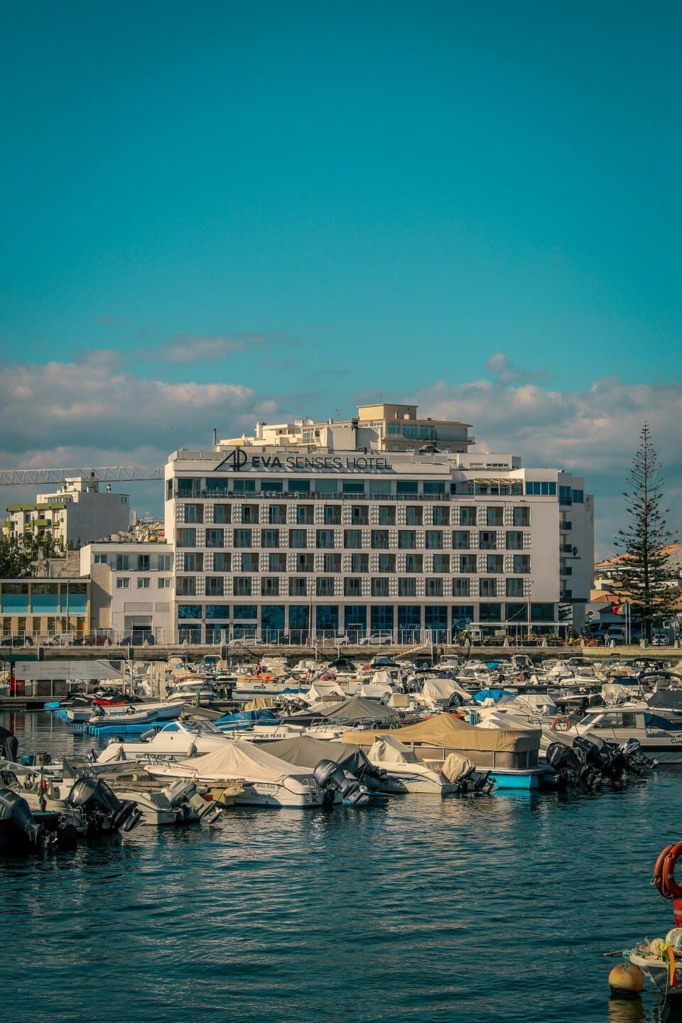 Occidental Puerto Banús, image 1 of 1