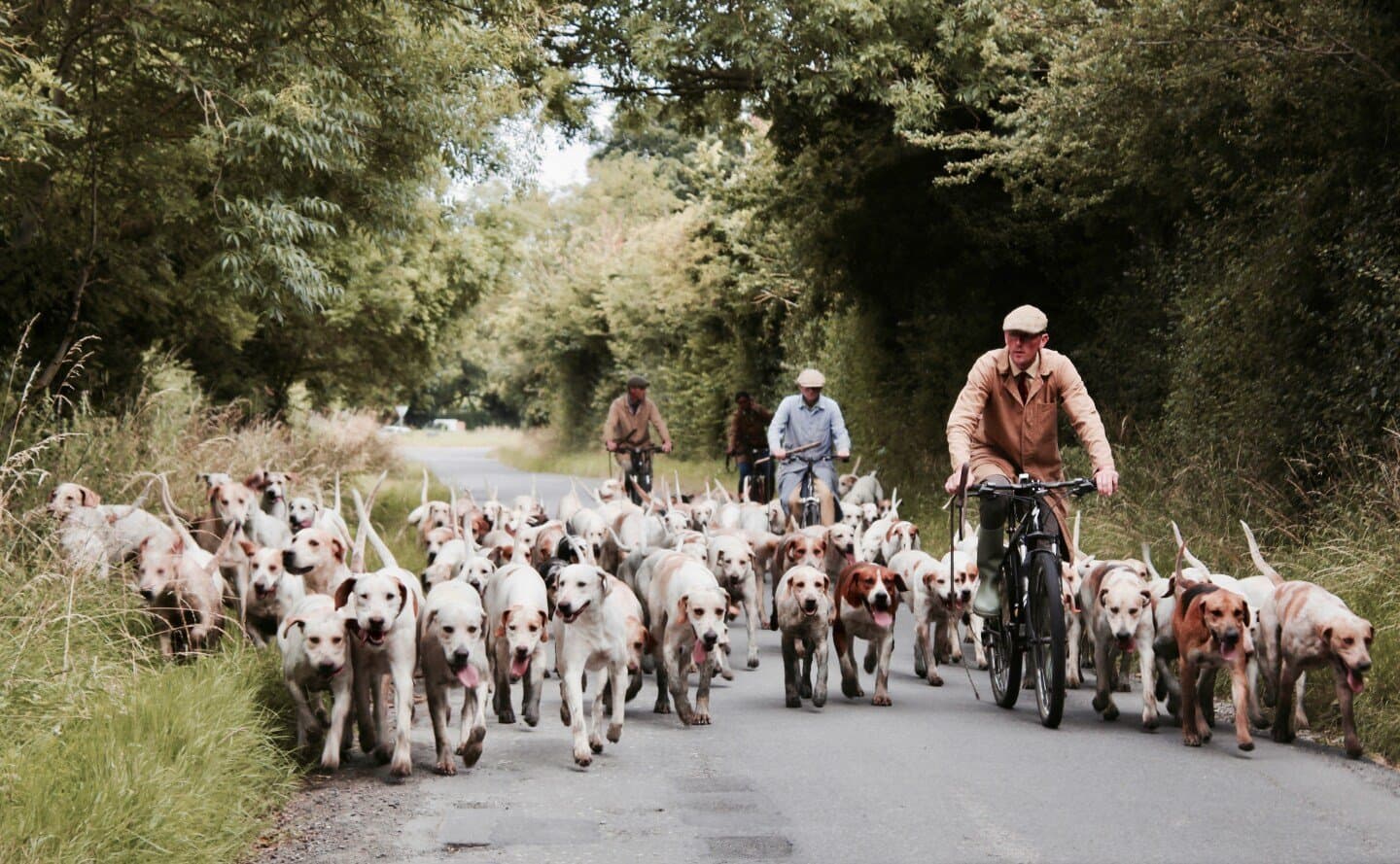 Les Chiens de Riga, image 1 of 1