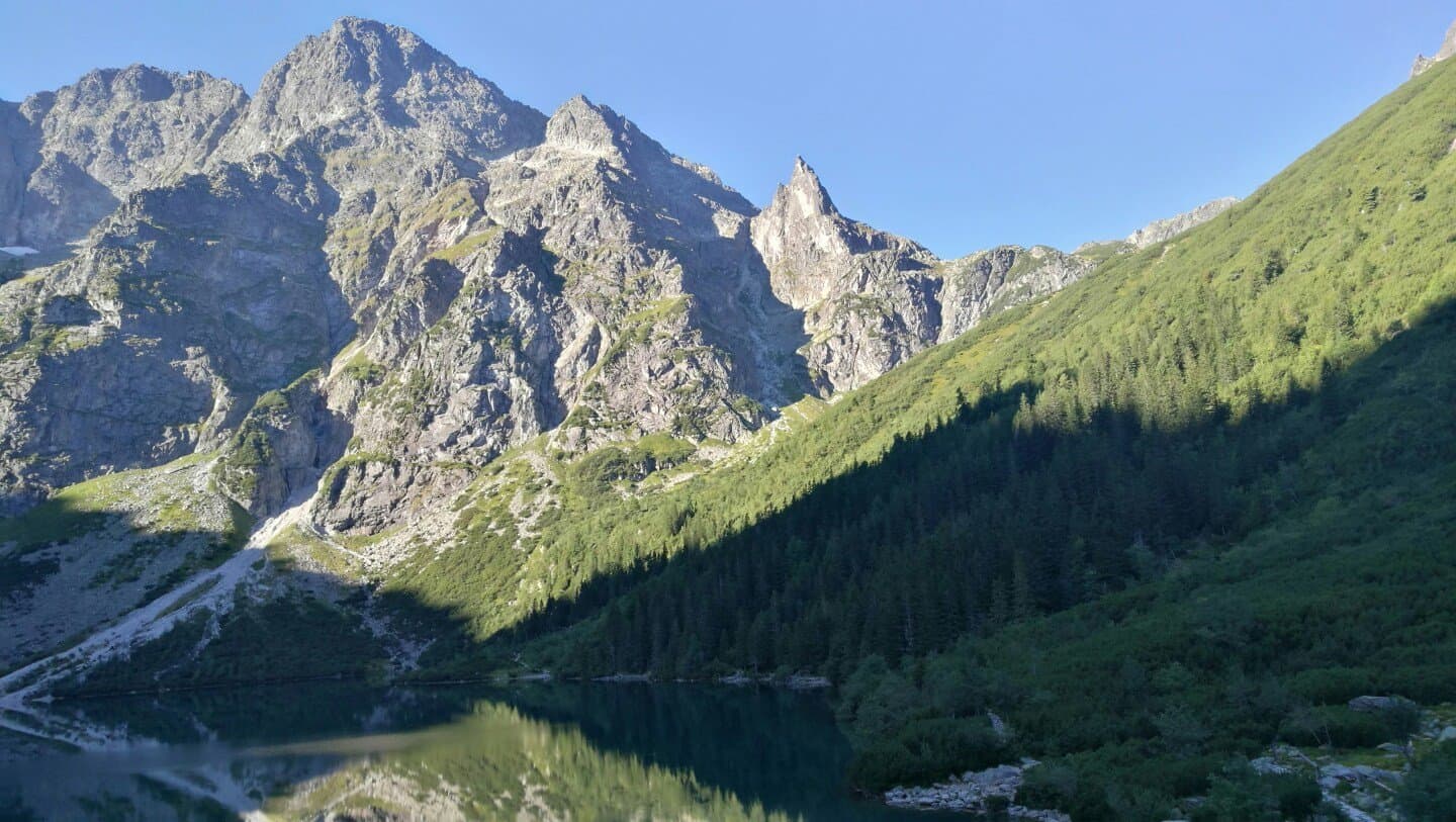 OKO, image 1 of 1