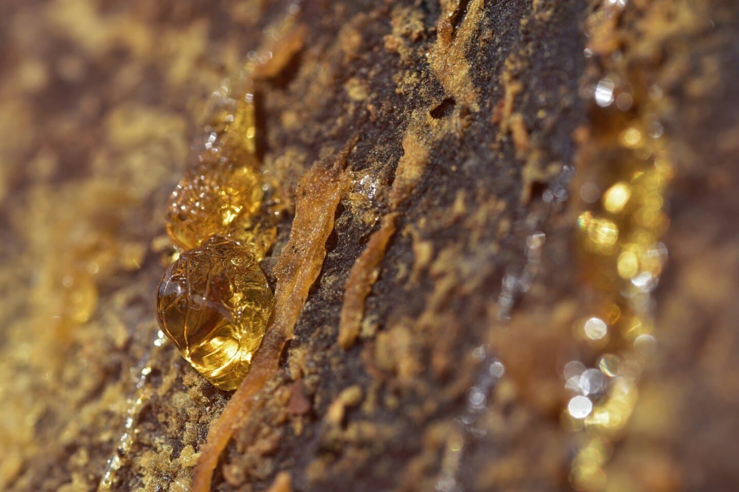 Resin, image 1 of 1