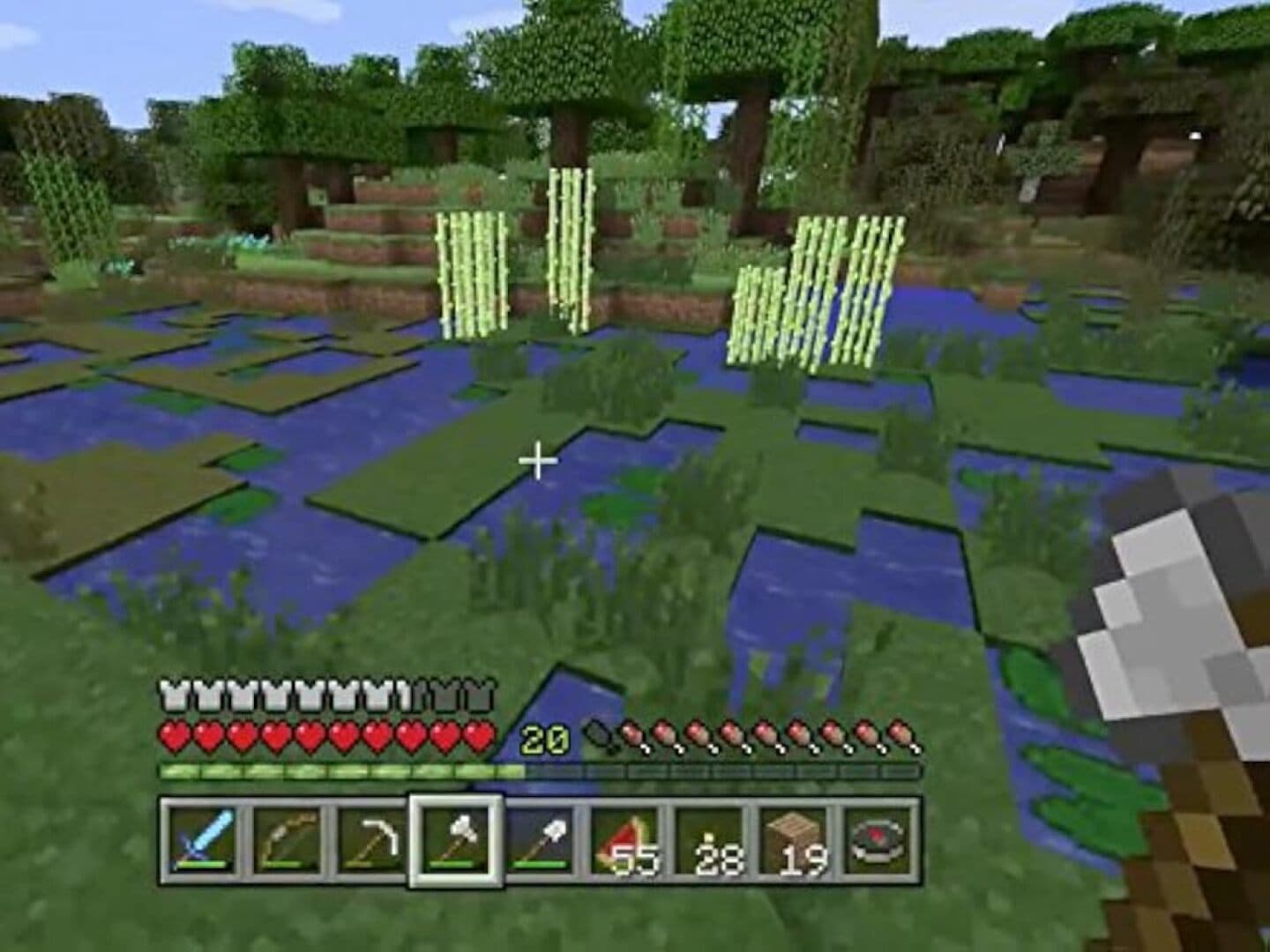Minecraft, image 1 of 1