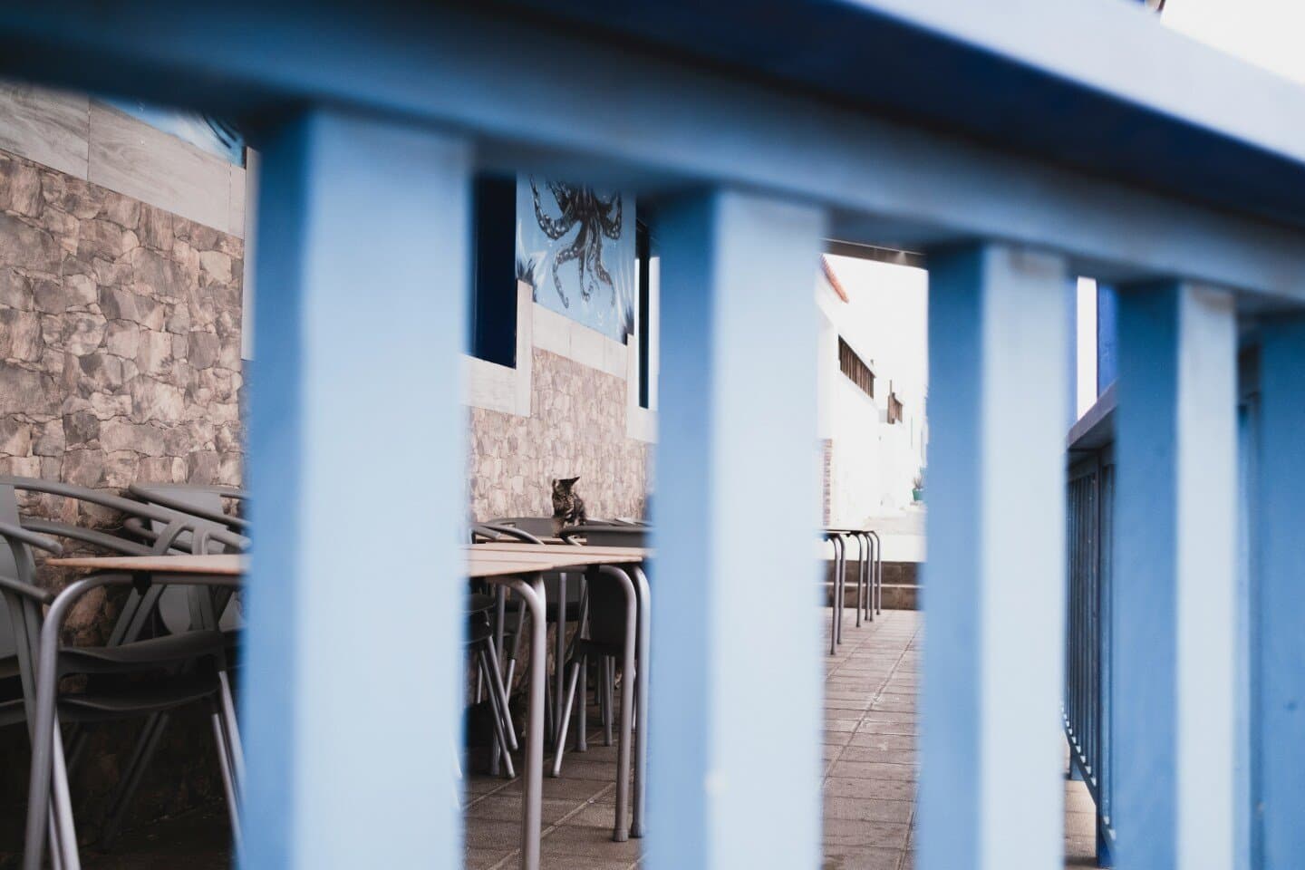 Café Melo's, image 1 of 1