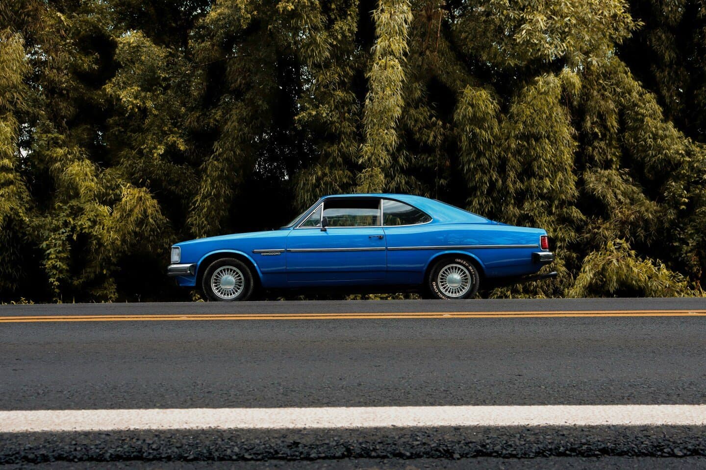 Opala Comodoro, image 1 of 1