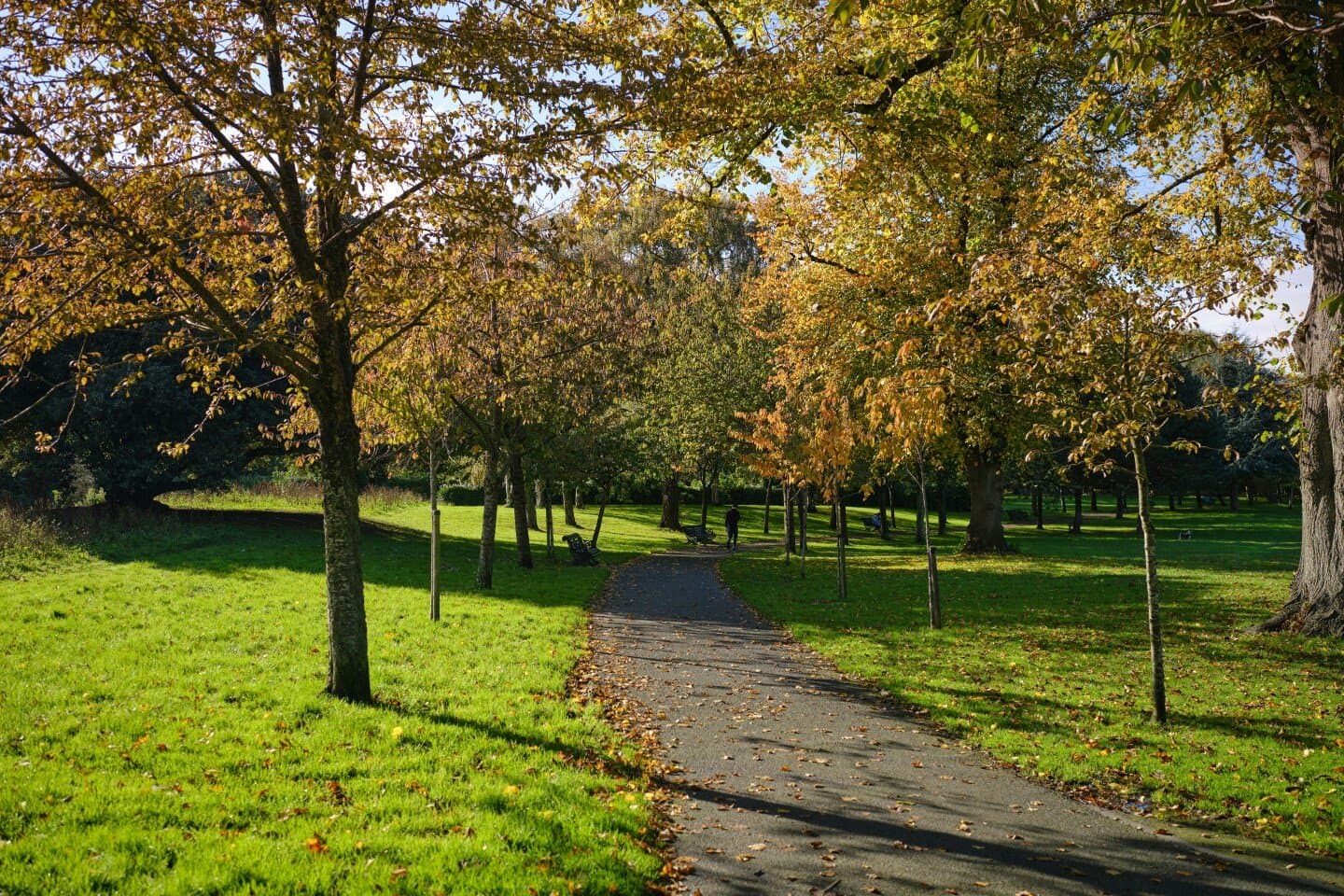 Herbert Park, image 1 of 1