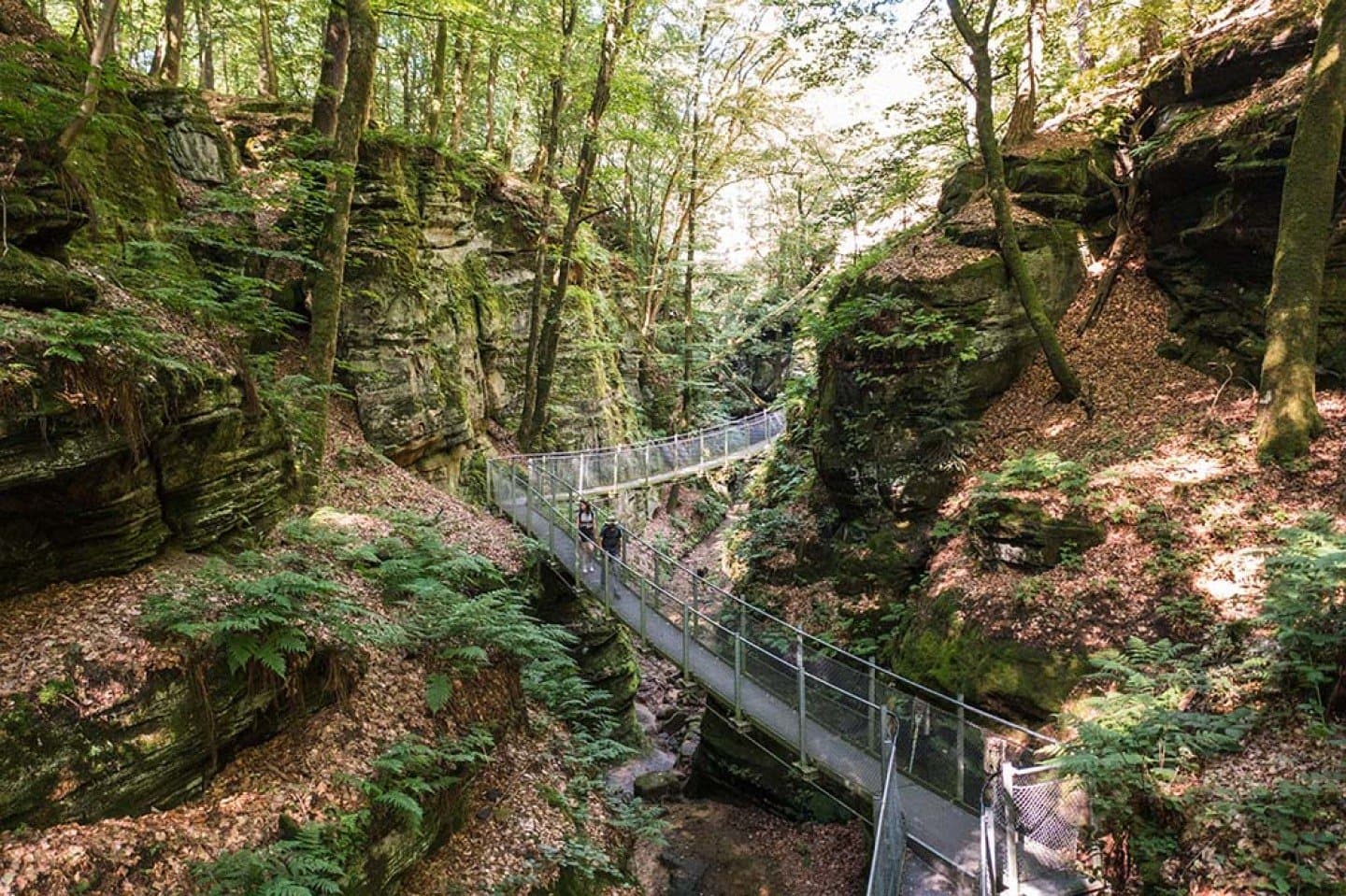 Mullerthal Trail - Route 2 (Little Switzerland), image 1 of 1