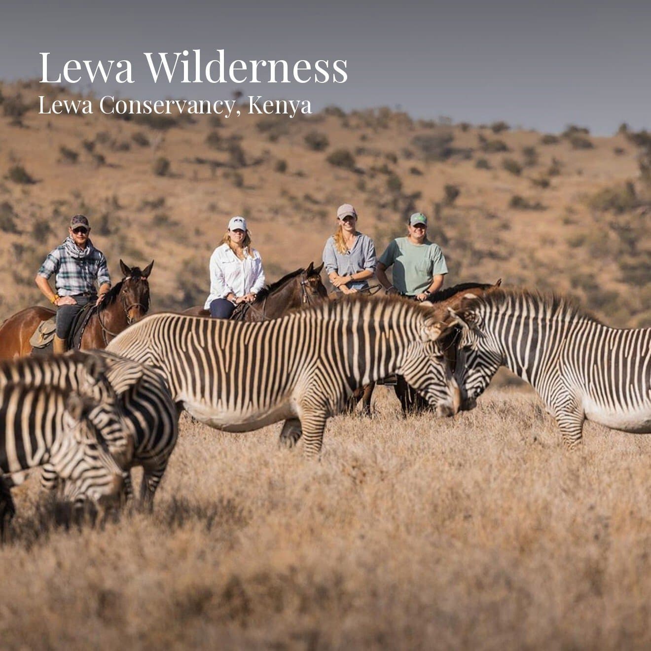 Lewa Wilderness, image 1 of 1