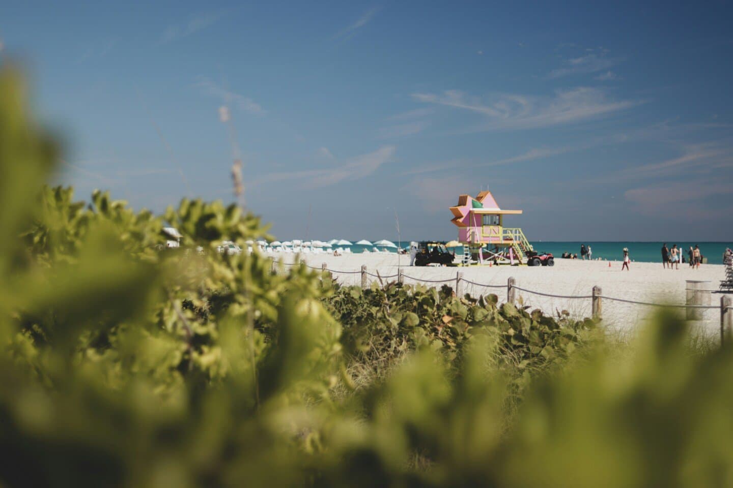 Key Biscayne, image 1 of 1