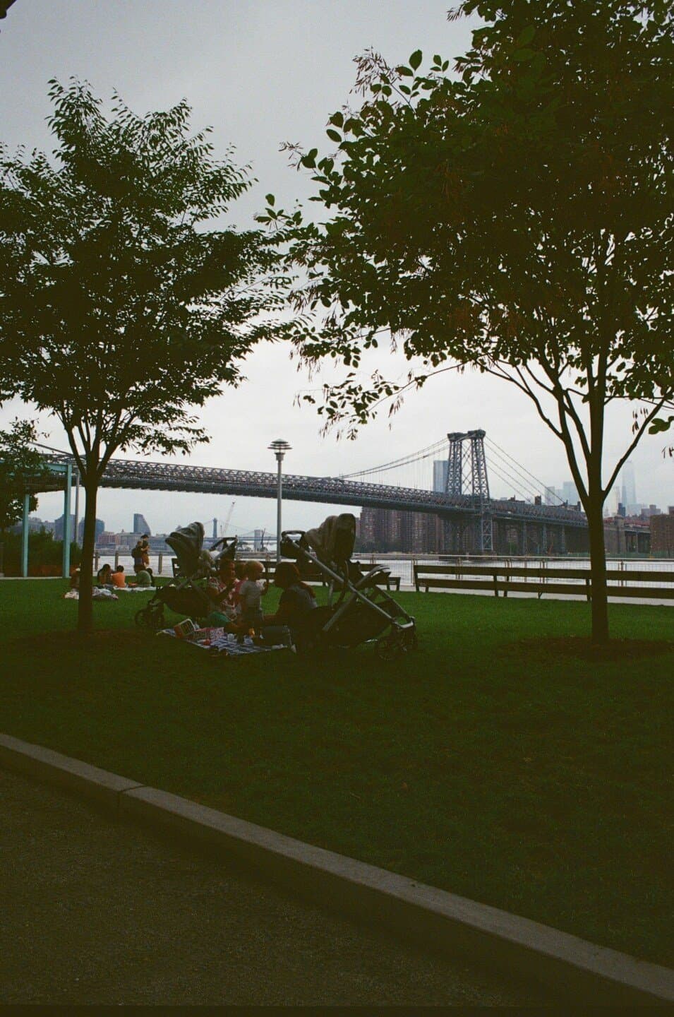 Brooklyn Bridge Park Pier 5 Fields, image 1 of 1