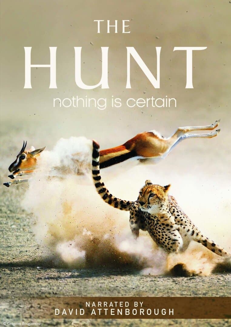 The Hunt, image 1 of 1