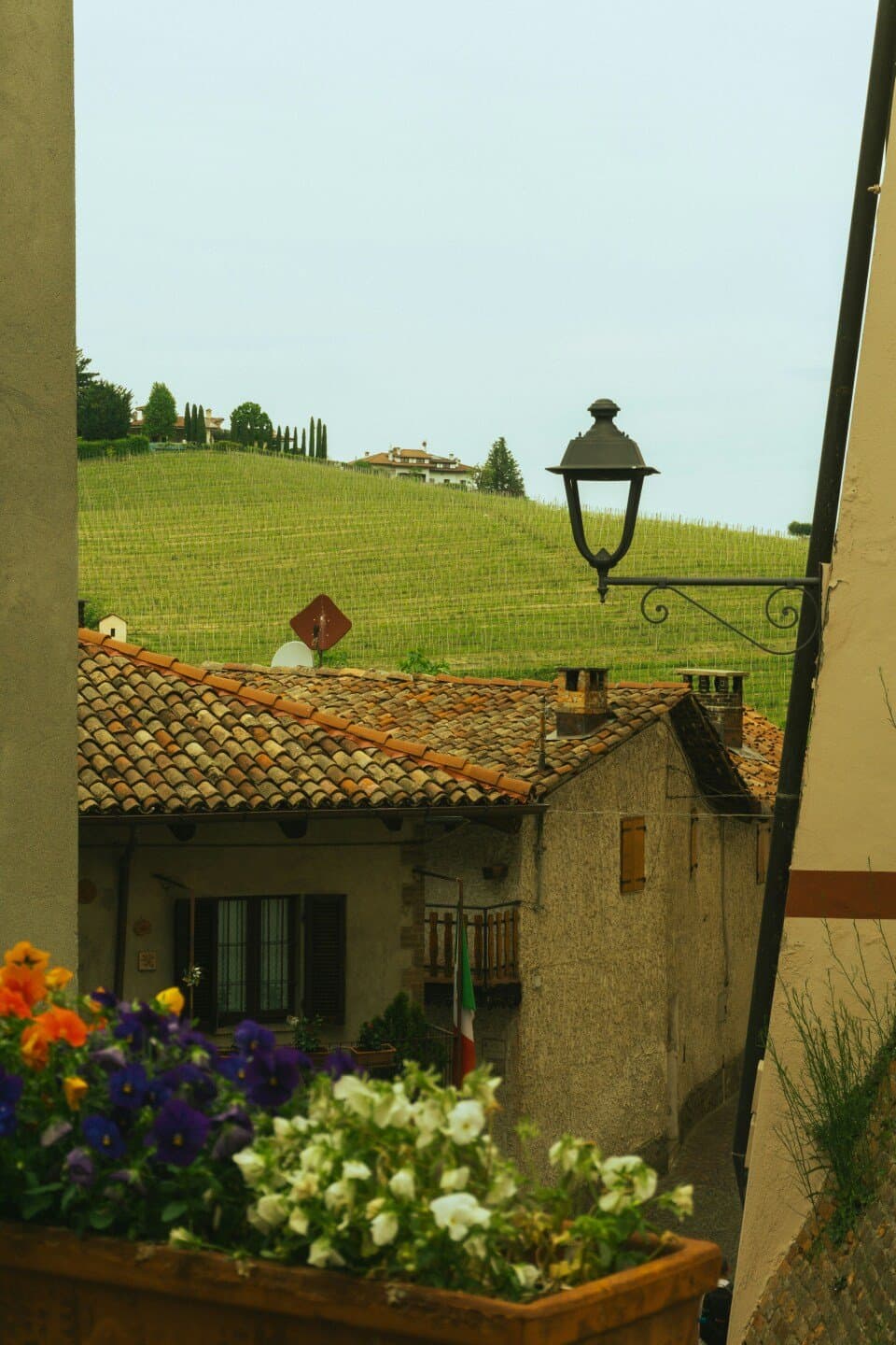Giuseppe Mascarello Barolo, image 1 of 1