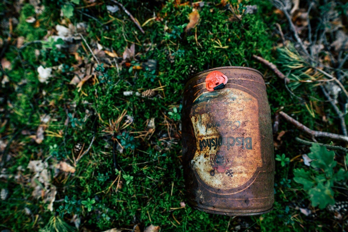 Jupa, image 1 of 1