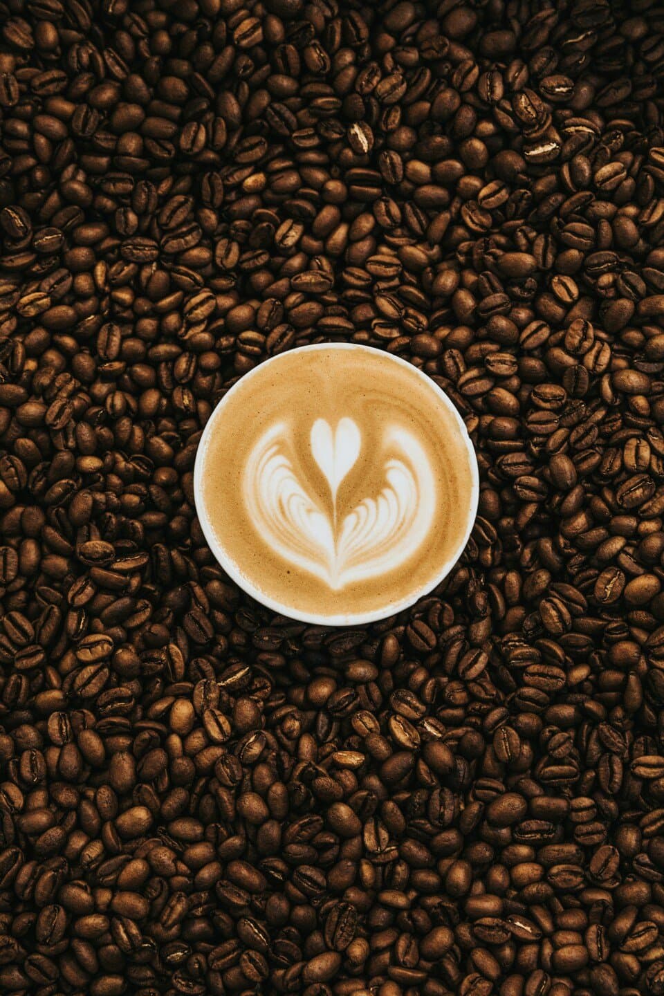 Coffee Addict, image 1 of 1