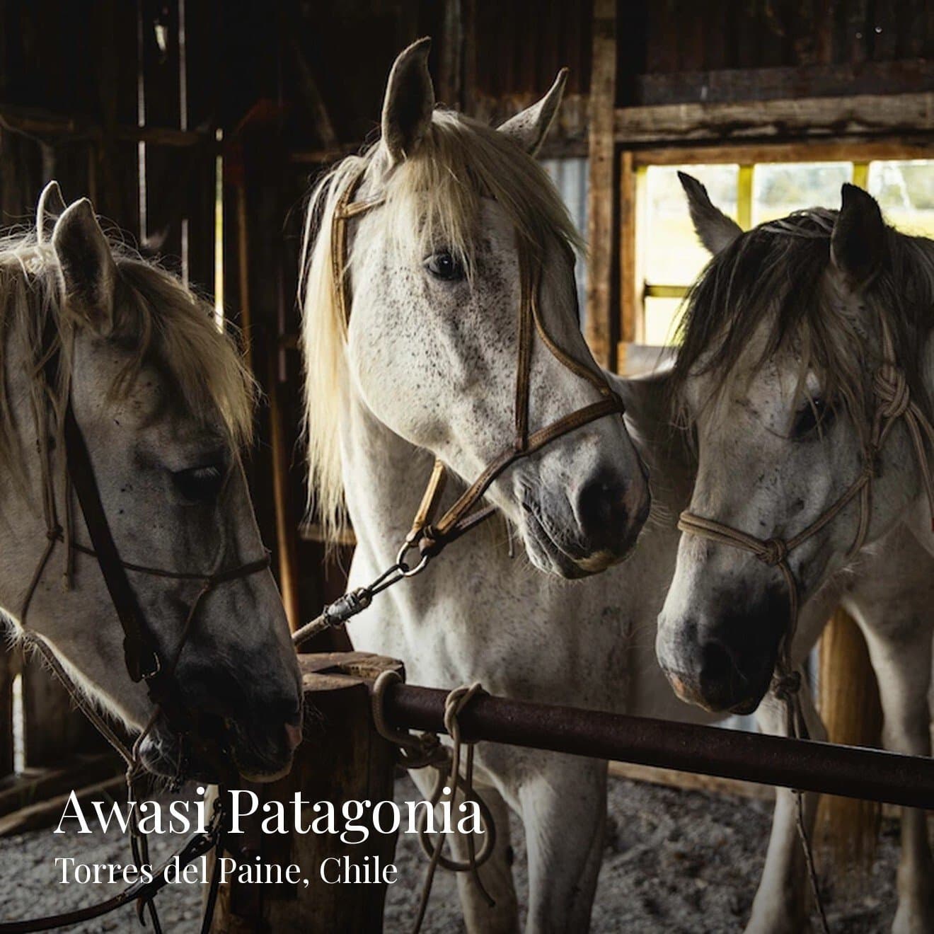 Awasi Patagonia, image 1 of 1