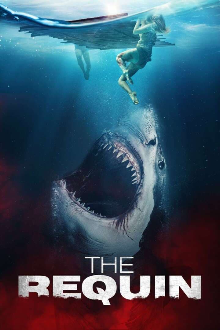 The Requin, image 1 of 1