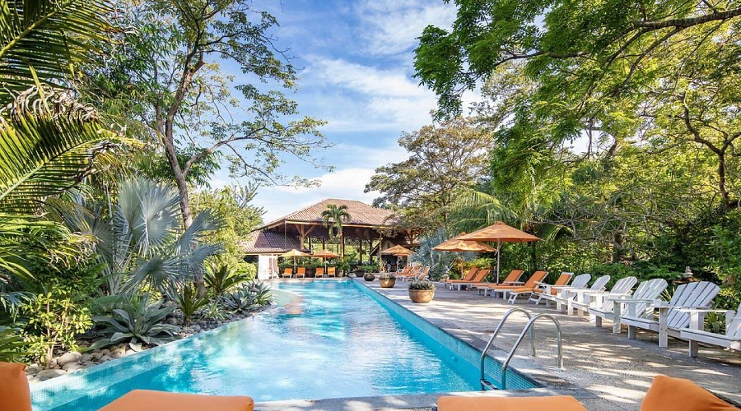 Bodhi Tree Yoga Resort, image 1 of 1