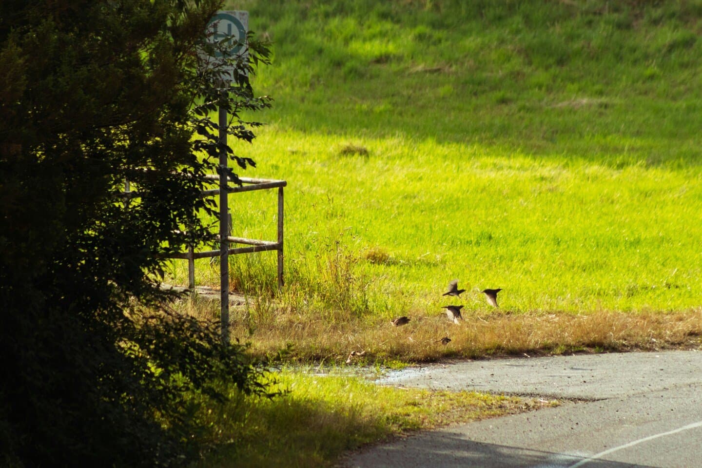 Sports Grill Bird Road, image 1 of 1