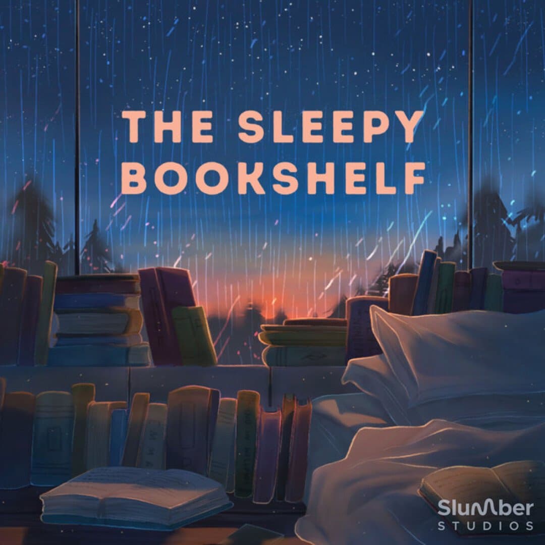 Sleepy Bookshelf, image 1 of 1