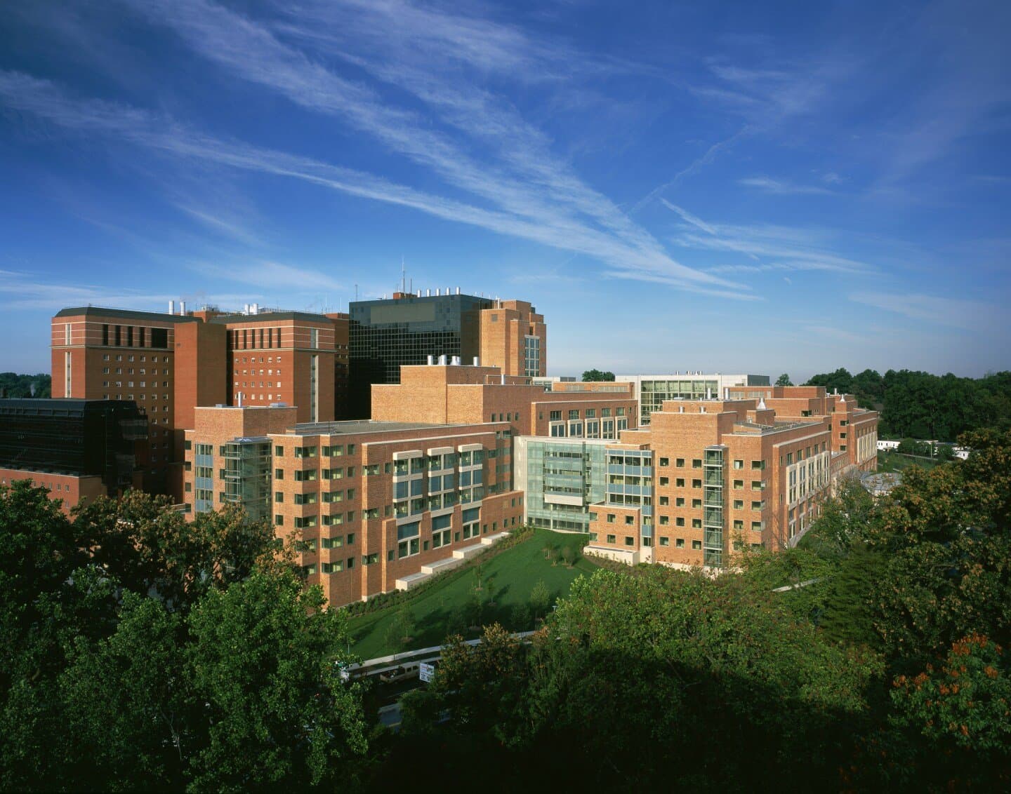 Trinity Biomedical Sciences Institute (TBSI), image 1 of 1