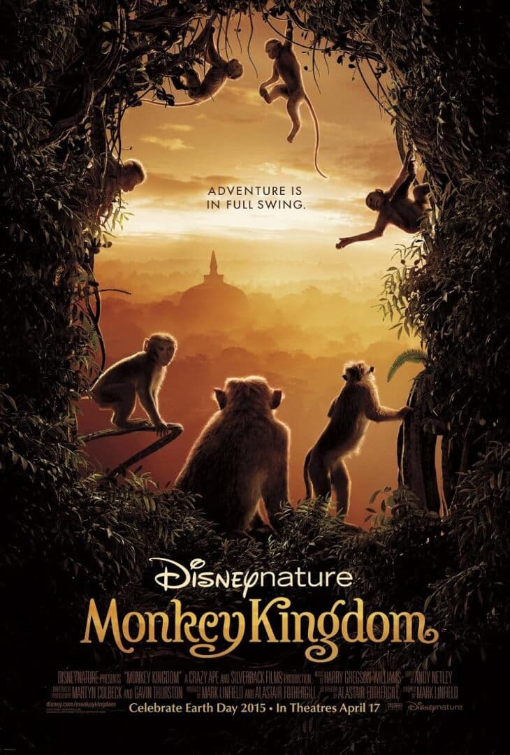 Monkey Kingdom, image 1 of 1