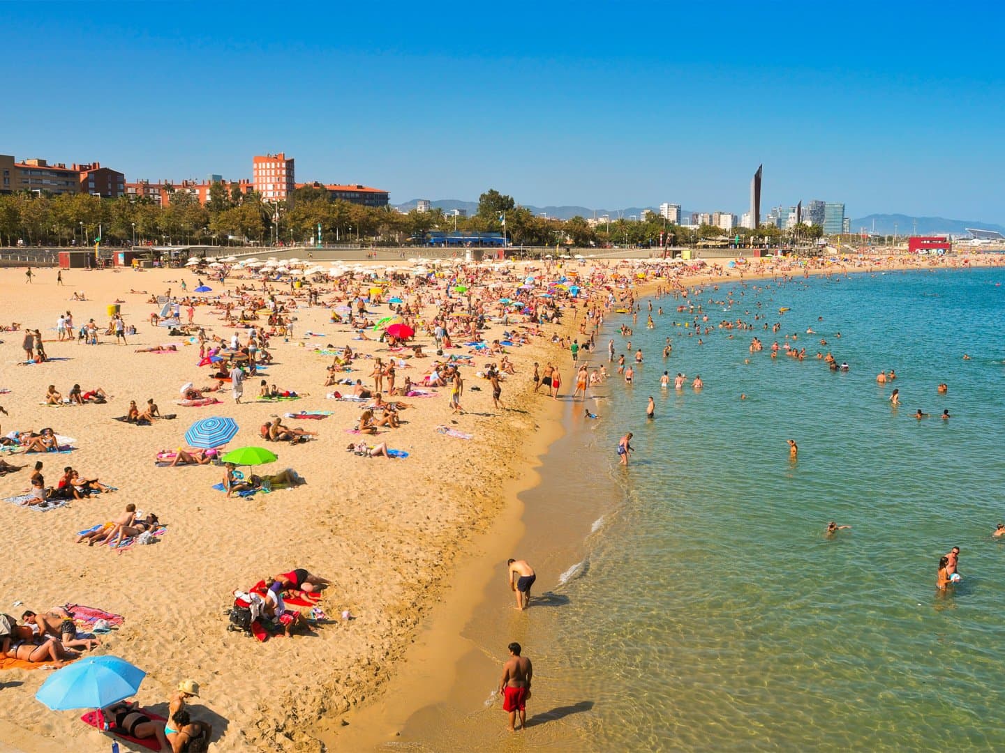 Relax on Barceloneta Beach, image 1 of 1