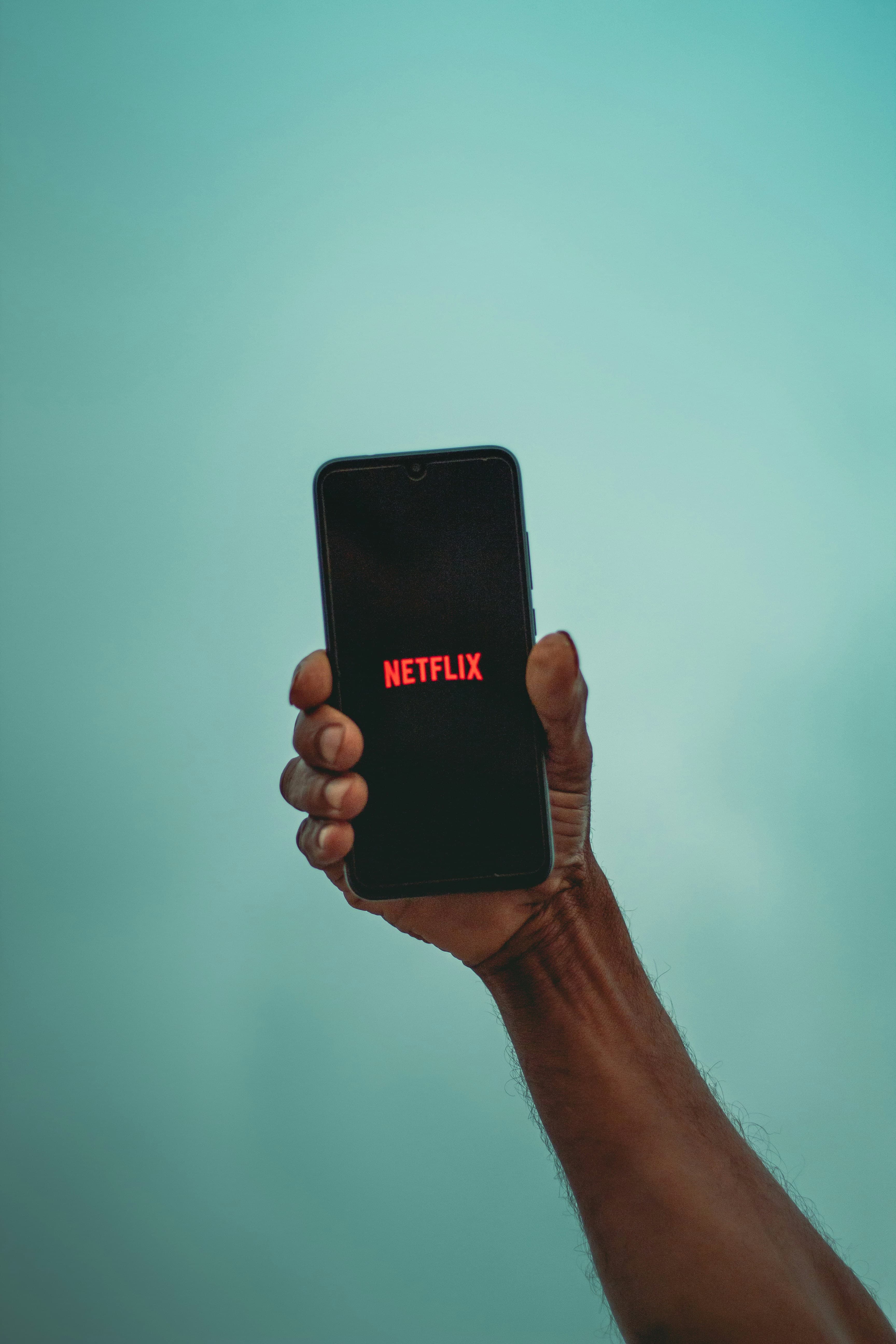 Netflix, image 1 of 1