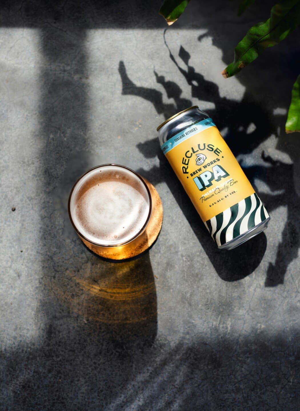 Due South Yellow Fever IPA, image 1 of 1