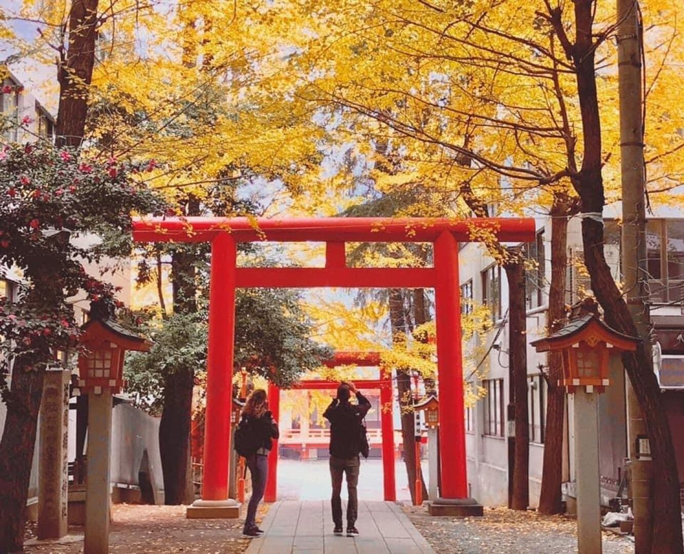 Visit a Shinto Shrine, image 1 of 1